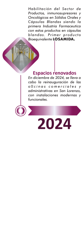 Año 2024